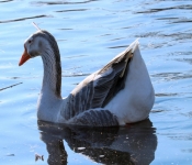 2019 03 17 Veterns MemorialPark 010
